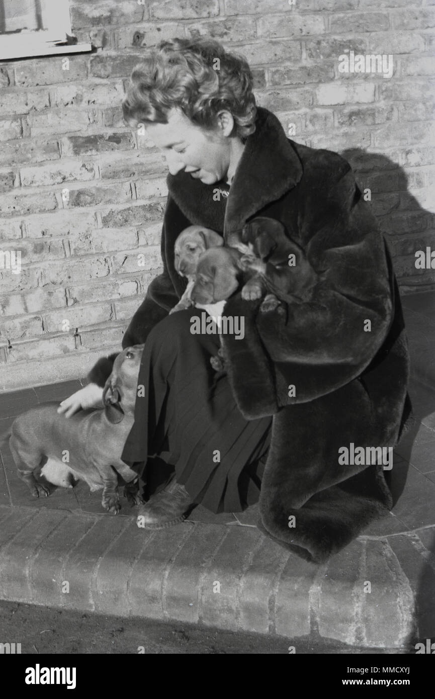 Degli anni Cinquanta, elegante signora che indossa una pelliccia inginocchiati e accarezzare il suo cane, un bassotto o salsiccia cane, tenendo nel suo braccio di altri tre nuovi cuccioli, Inghilterra, Regno Unito. Foto Stock