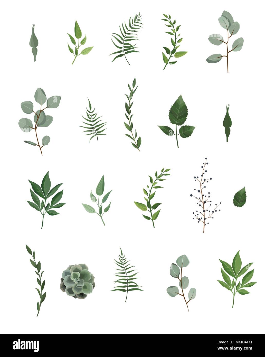 Designer di vettore di elementi di raccolta del Verde Eucalipto, arte fogliame foglie naturali erbe in stile acquarello. Bellezza decorativa elegante illustrat Illustrazione Vettoriale