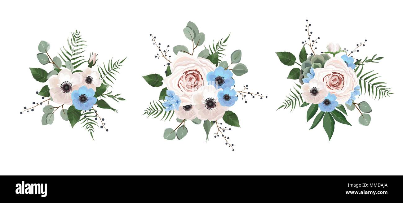 Designer di vettore di elementi di raccolta del Verde Eucalipto, arte fogliame foglie naturali erbe in stile acquarello. Bellezza decorativa elegante illustrat Illustrazione Vettoriale