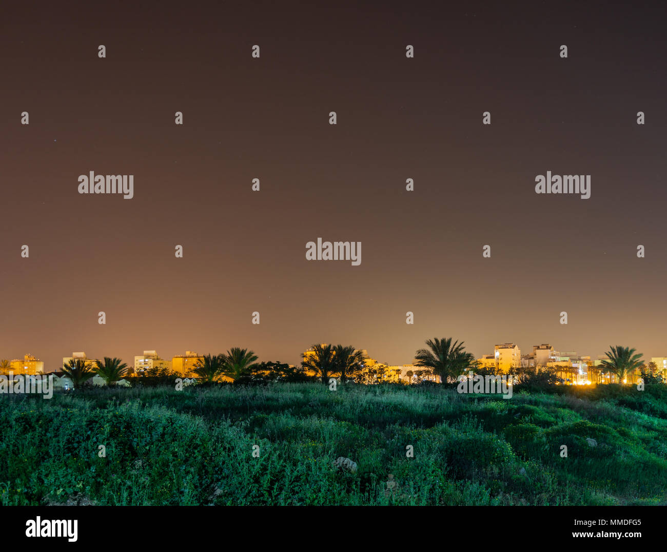 Campo non trattato con verde erba succosa con city su uno sfondo in Israele durante la notte. Foto Stock