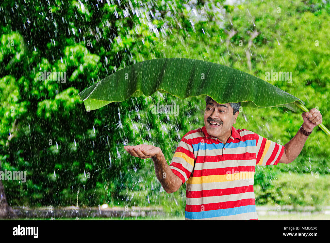 Felice l'uomo Senior sotto Banana-Leaf mettere mano a sentire le gocce di pioggia sul palmare Palm Foto Stock