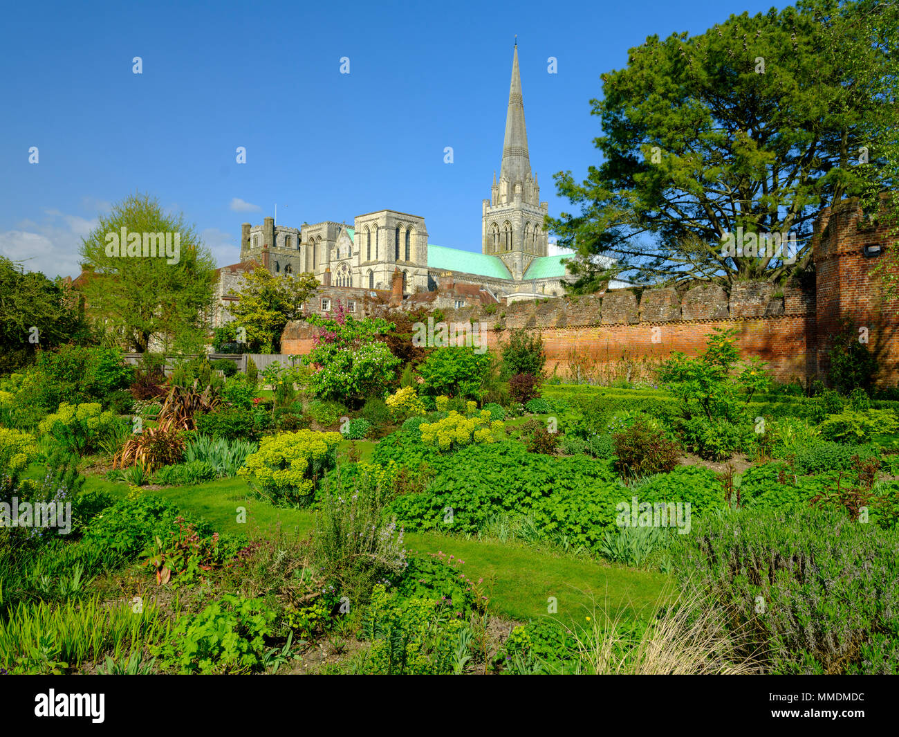 La molla pomeriggio di sole sulla Cattedrale di Chichester dal Palazzo del Vescovo Gardens, Chichester, West Sussex, Regno Unito Foto Stock