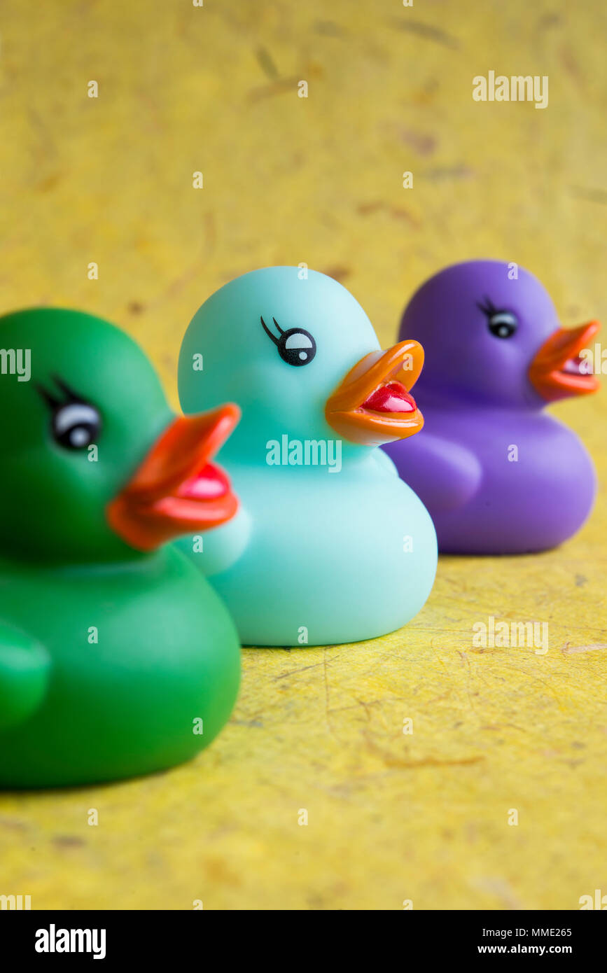 Ancora la vita di tre colorate le papere di gomma Foto Stock
