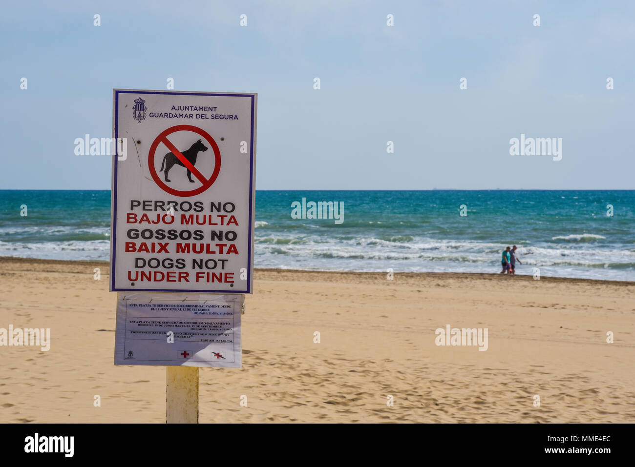 No cani sulla spiaggia di segno di avvertimento. Tradotto male i cani non al di sotto di ammenda. Spanglish. Da Spagnolo a Inglese Inglese piccione. Errore. Traduzione. Errato Foto Stock