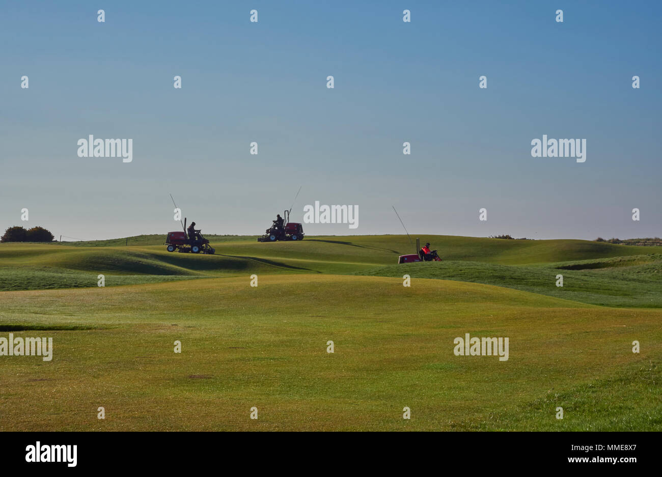 Custodi di verde su loro Ride su trattori per prati falciare il fairway e green a Carnoustie Golf. Carnoustie, Angus, Scozia. Foto Stock