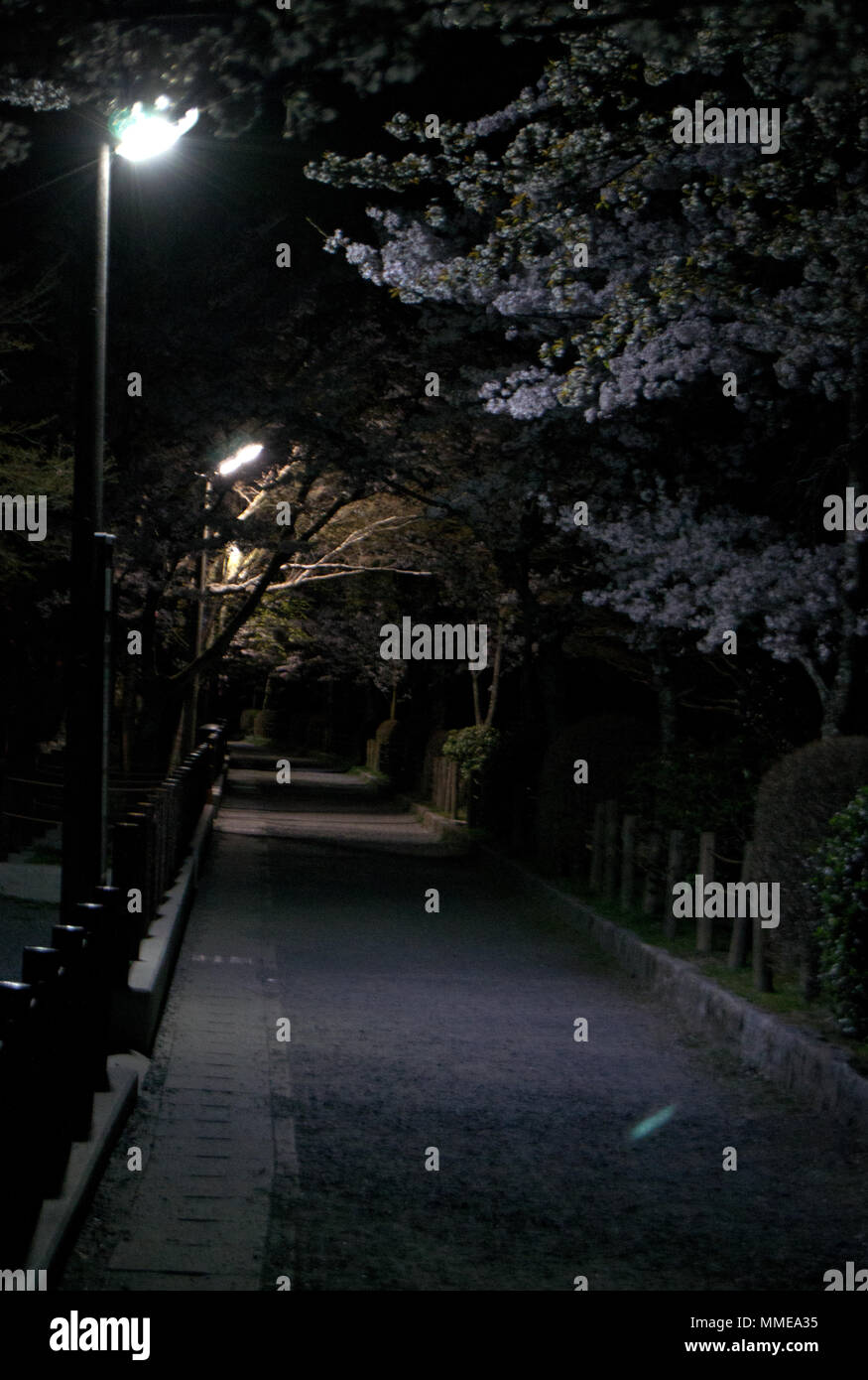 Percorso del filosofo di notte, Kyoto, Giappone Foto Stock