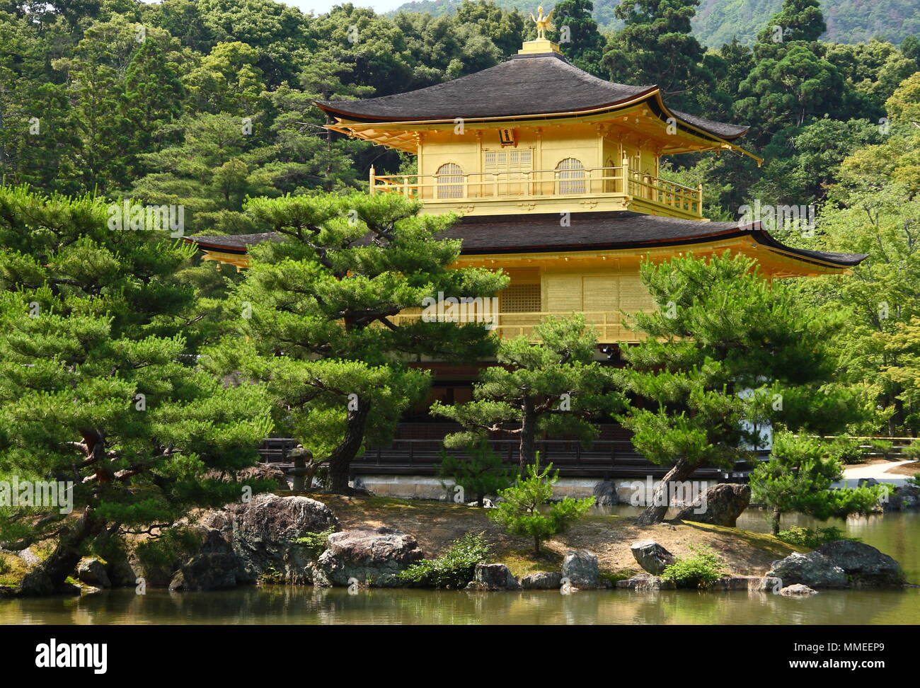 Famoso Golden Pavilion di Kyoto (Kinkaku-ji) Foto Stock