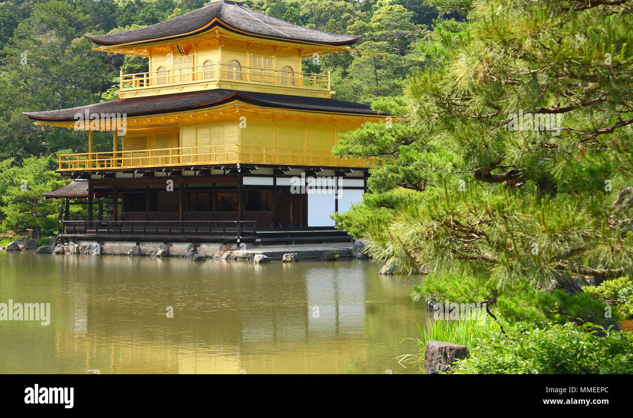 Famoso Golden Pavilion di Kyoto (Kinkaku-ji) Foto Stock
