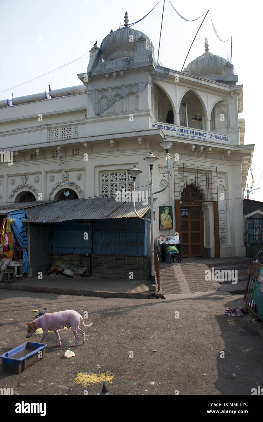 Madre Teresa casa dei moribondi in Kolkata, India Foto Stock