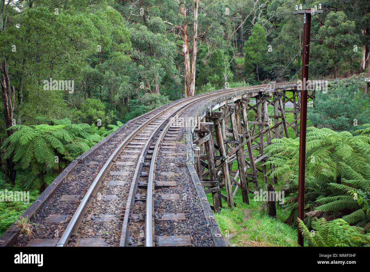 L'iconico tirando Del Vapore Di Billy ponte a traliccio in Dandenong Ranges il 27 aprile 2012 Foto Stock