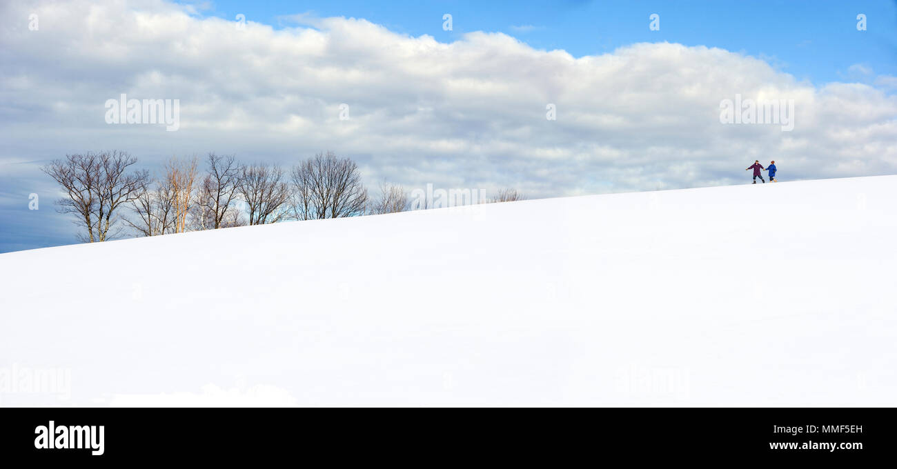 Coppia senior a piedi una coperta di neve Vermont paesaggio invernale Foto Stock