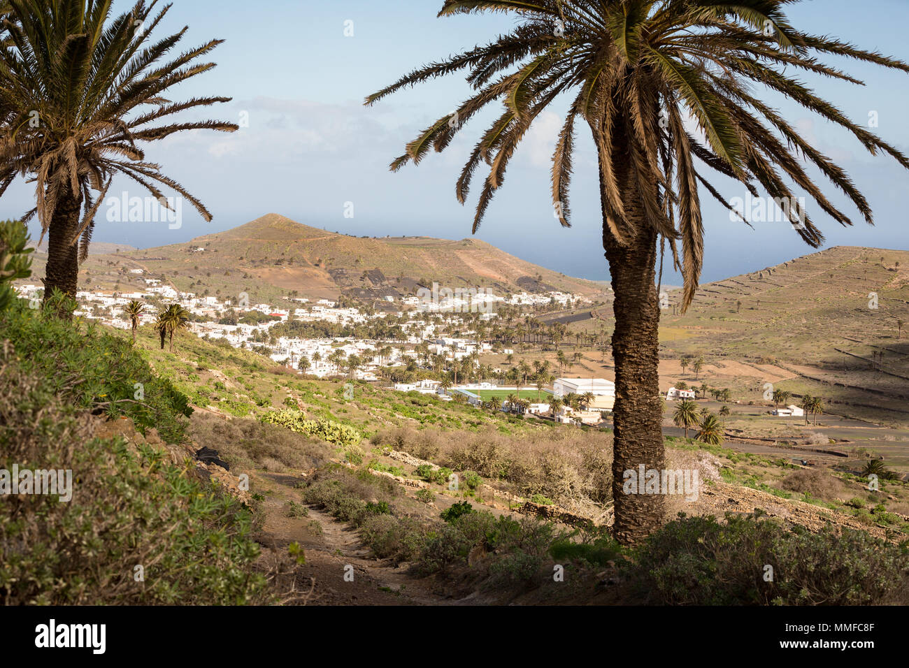 HARIA, Lanzarote, Isole canarie, Spagna, Europa: vista sulla valle di Haria, chiamato anche la Valle delle mille palme. Foto Stock