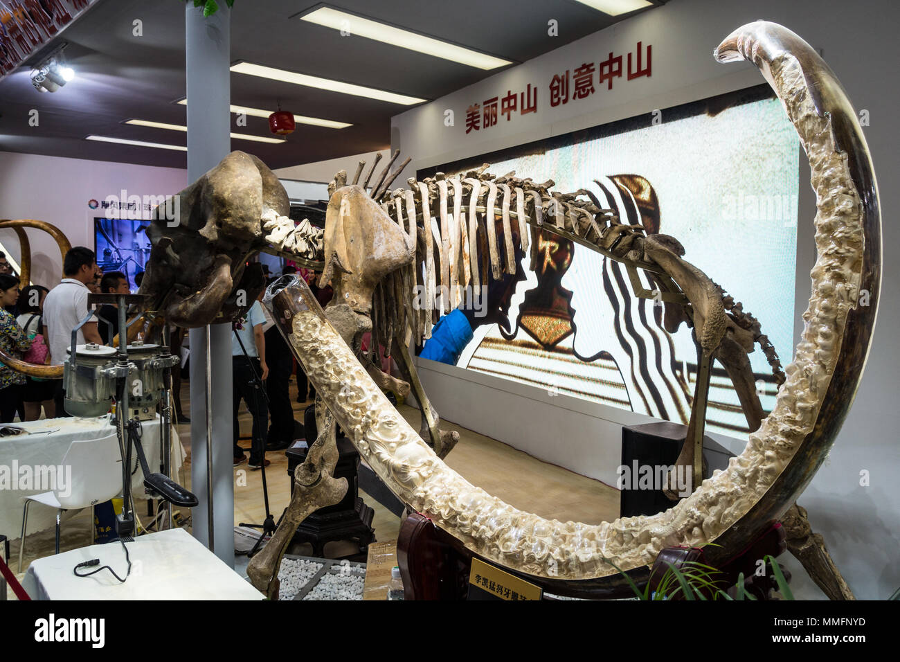 Avorio intagliato zanne store, elephant brosmio e lo scheletro in vendita in Cina Foto Stock