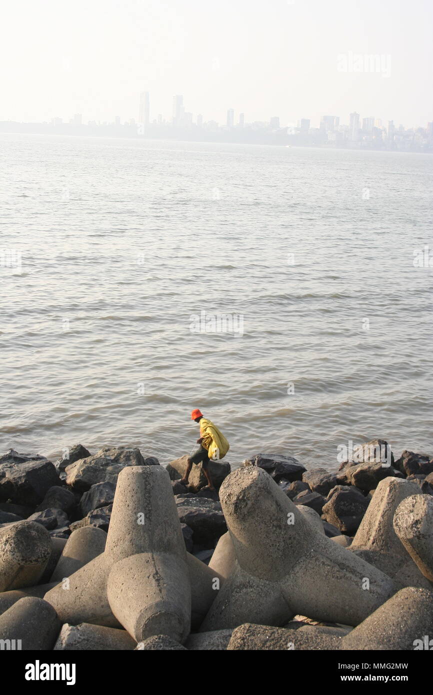 Uomo indiano la raccolta di rifiuti su rocce, Mumbai, India Foto Stock
