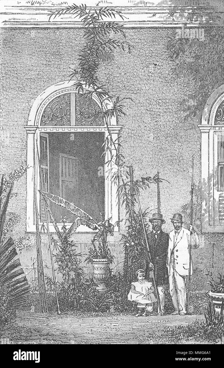 Alberi. Arrampicata Palm-Tree. Giovani- 1880 antica vintage delle immagini di stampa Foto Stock