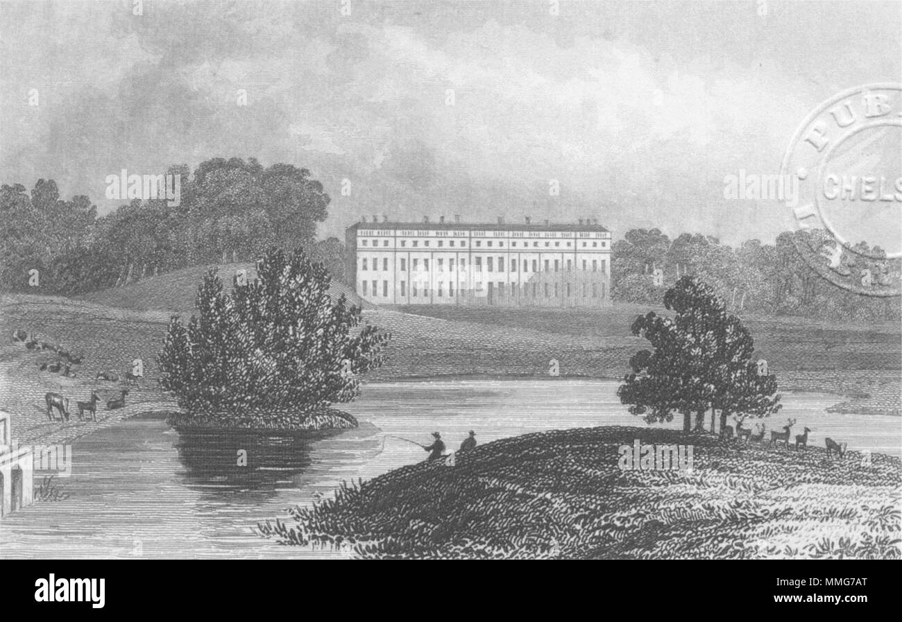 SUSSEX. Petworth House, Earl Egremont. DUGDALE. c1840 antica stampa Foto Stock