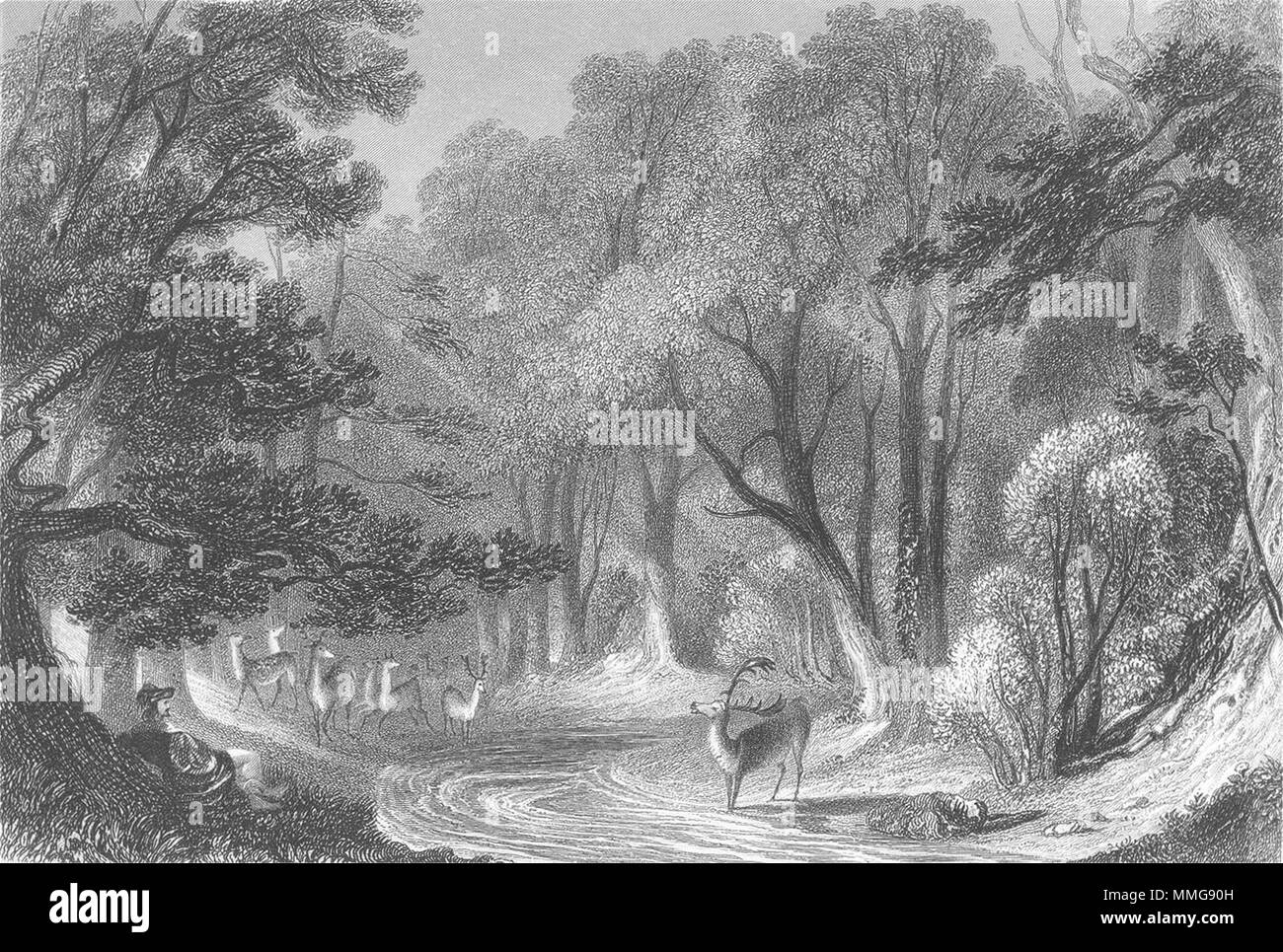 WARCS. Forest of Arden. Sargent Deer 1854 antica vintage delle immagini di stampa Foto Stock