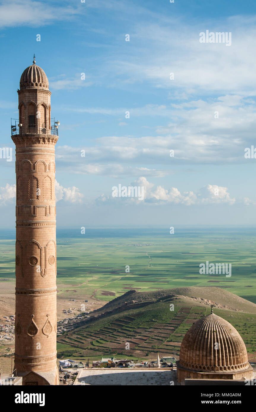 Cupola di Zinciriye Medrese, Mardin, a sud est della Turchia Foto Stock