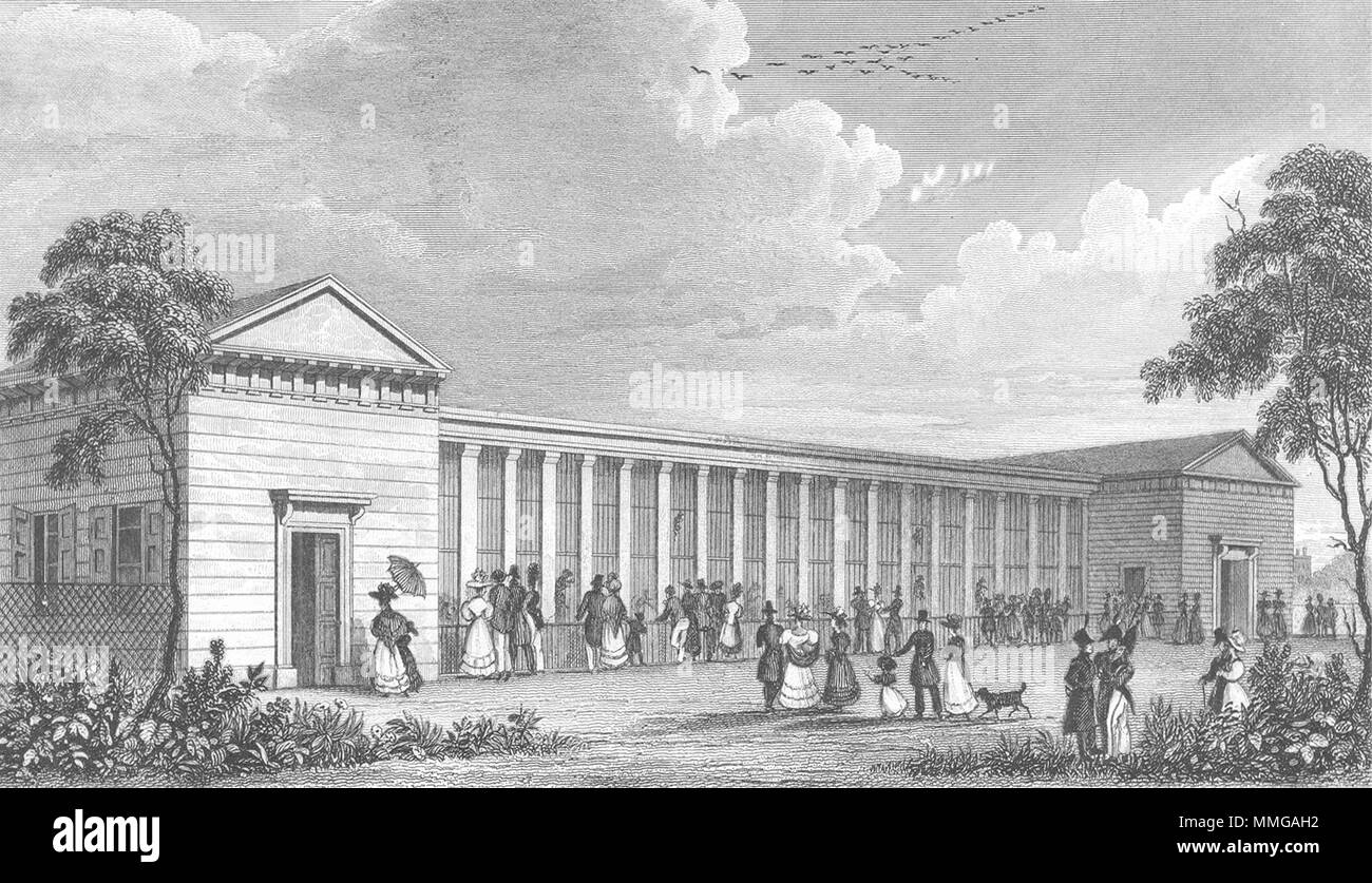 Parigi. Serraglio Jardin Plantes. cane 1834 antica vintage delle immagini di stampa Foto Stock