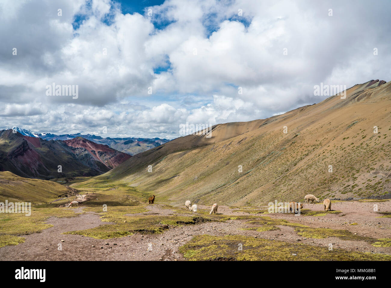 Rainbow escursione in montagna con i cavalli e paesaggi sorprendenti Foto Stock