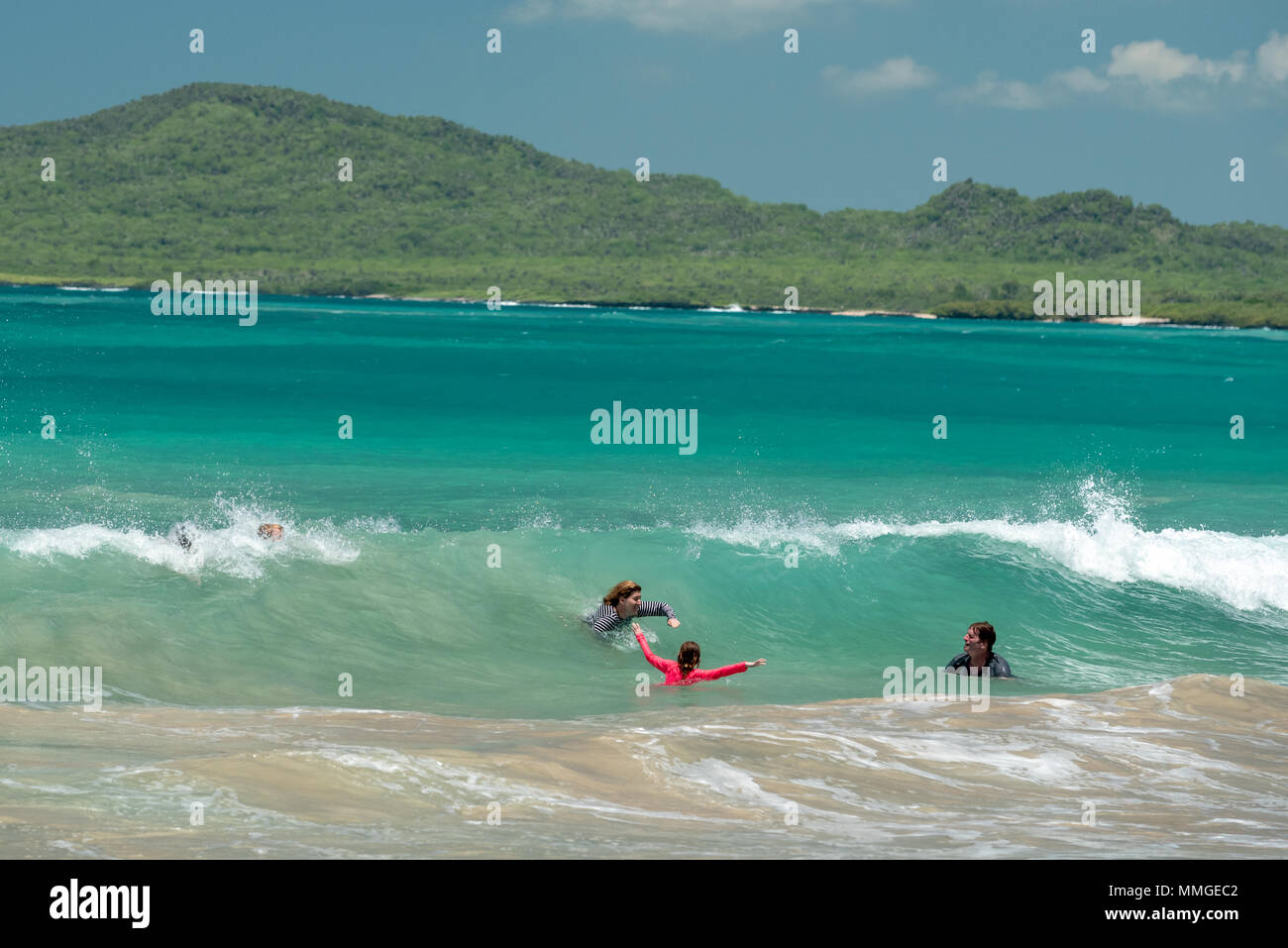 Corpo della famiglia surf su una spiaggia a Isabel isola nelle isole Galapagos dell Ecuador. Foto Stock