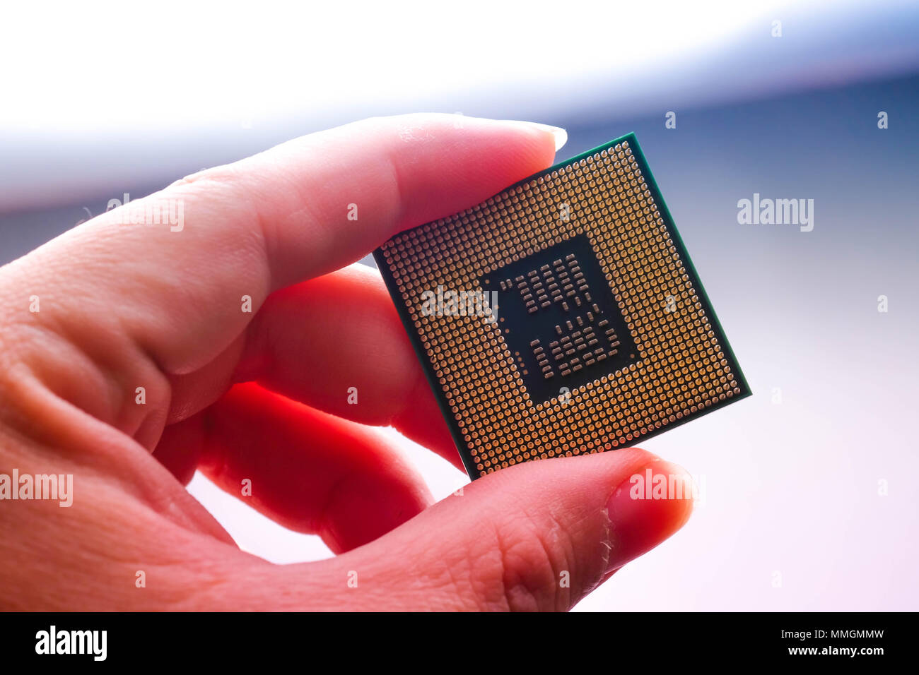 La tecnologia cyber concetto elettronico. cpu chip microprocessore in mano Foto Stock