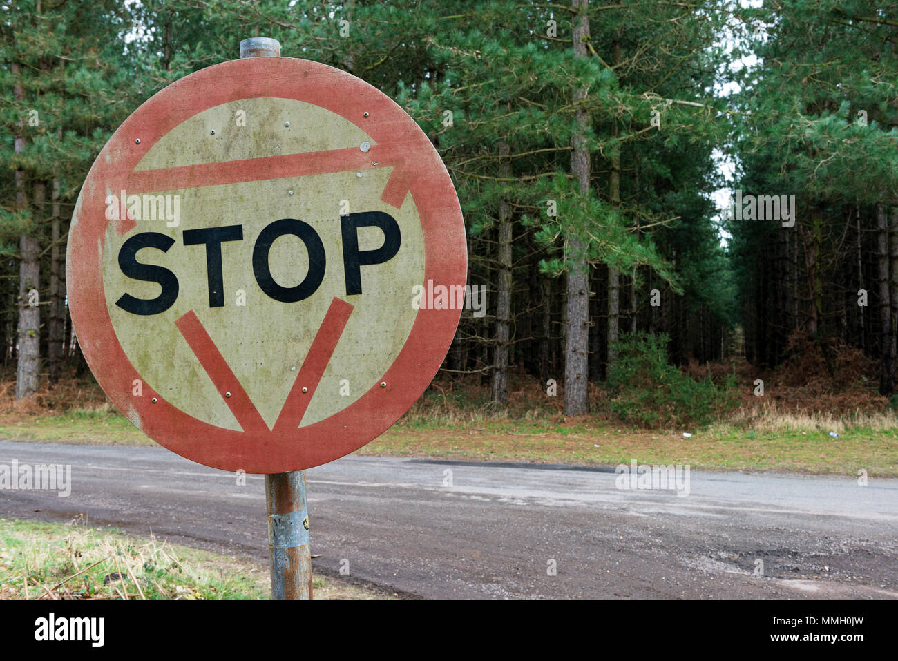 Porta Est bivio, foresta Rendelsham Suffolk Foto Stock