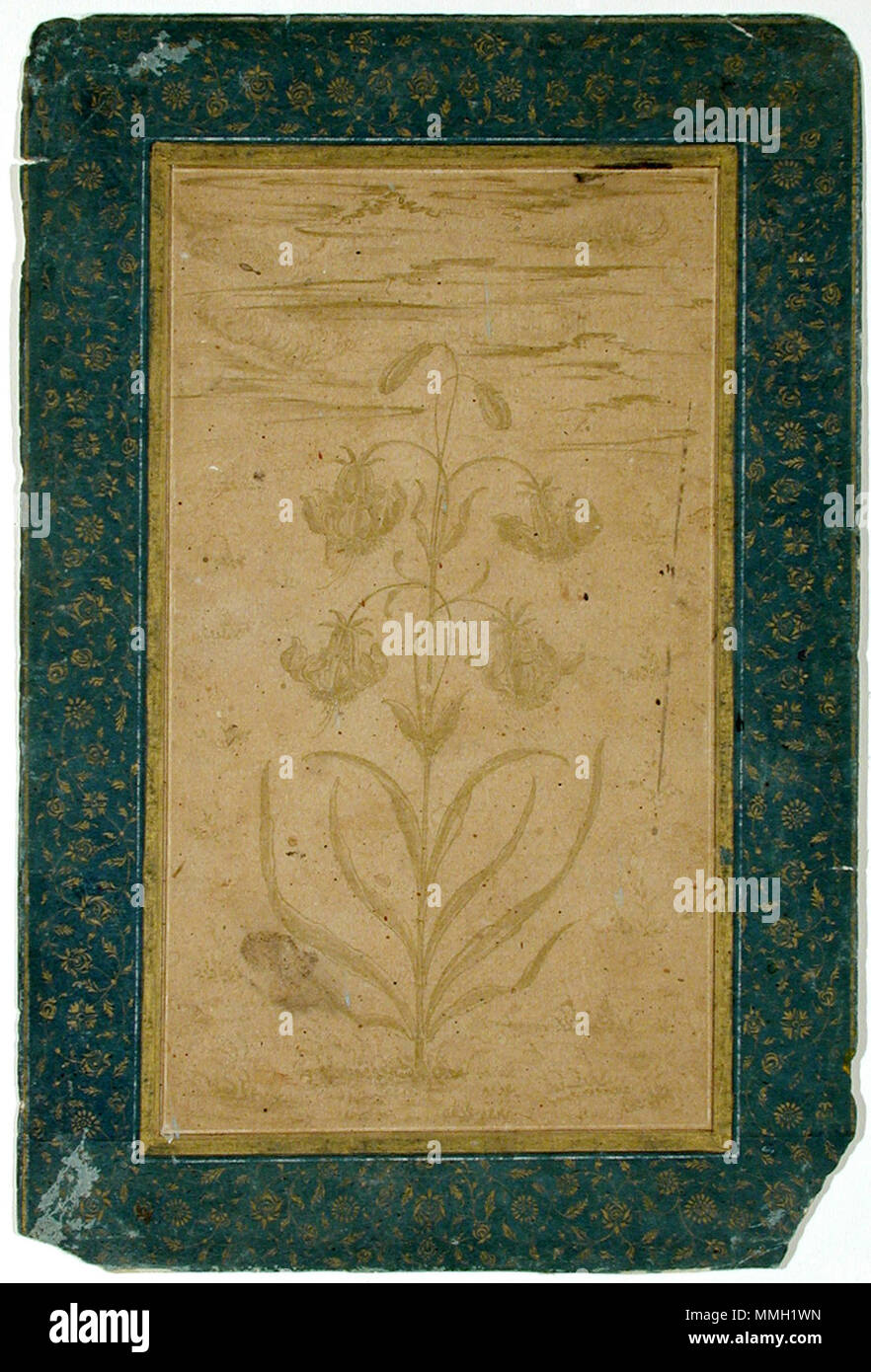 . Inglese: Data di creazione: ca. 1645 Dimensioni display: 7 5/16 in. x 4 1/8 in. (18,6 cm x 10,5 cm) Linea di credito: Edwin Binney terza raccolta numero di adesione: 1990.373 Collection: il San Diego Museum of Art . 27 luglio 2001, 15:19:48. Inglese: thesandiegomuseumofartcollection un giglio pianta con quattro fiorisce e due gemme (6124536859) Foto Stock