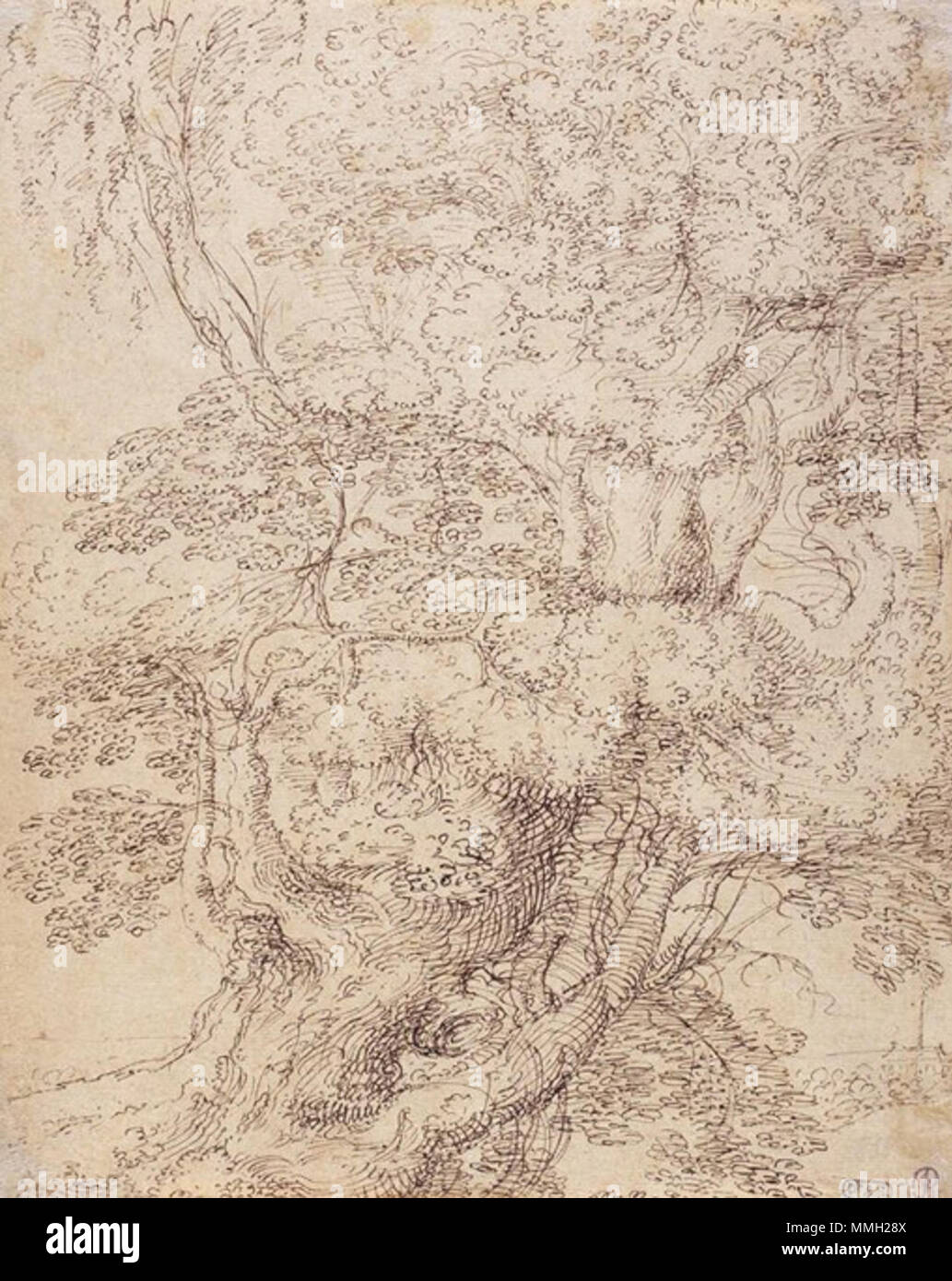 Inglese: Studio di un grande albero . 1687. Gillis Neyts - Studio di un grande albero Foto Stock