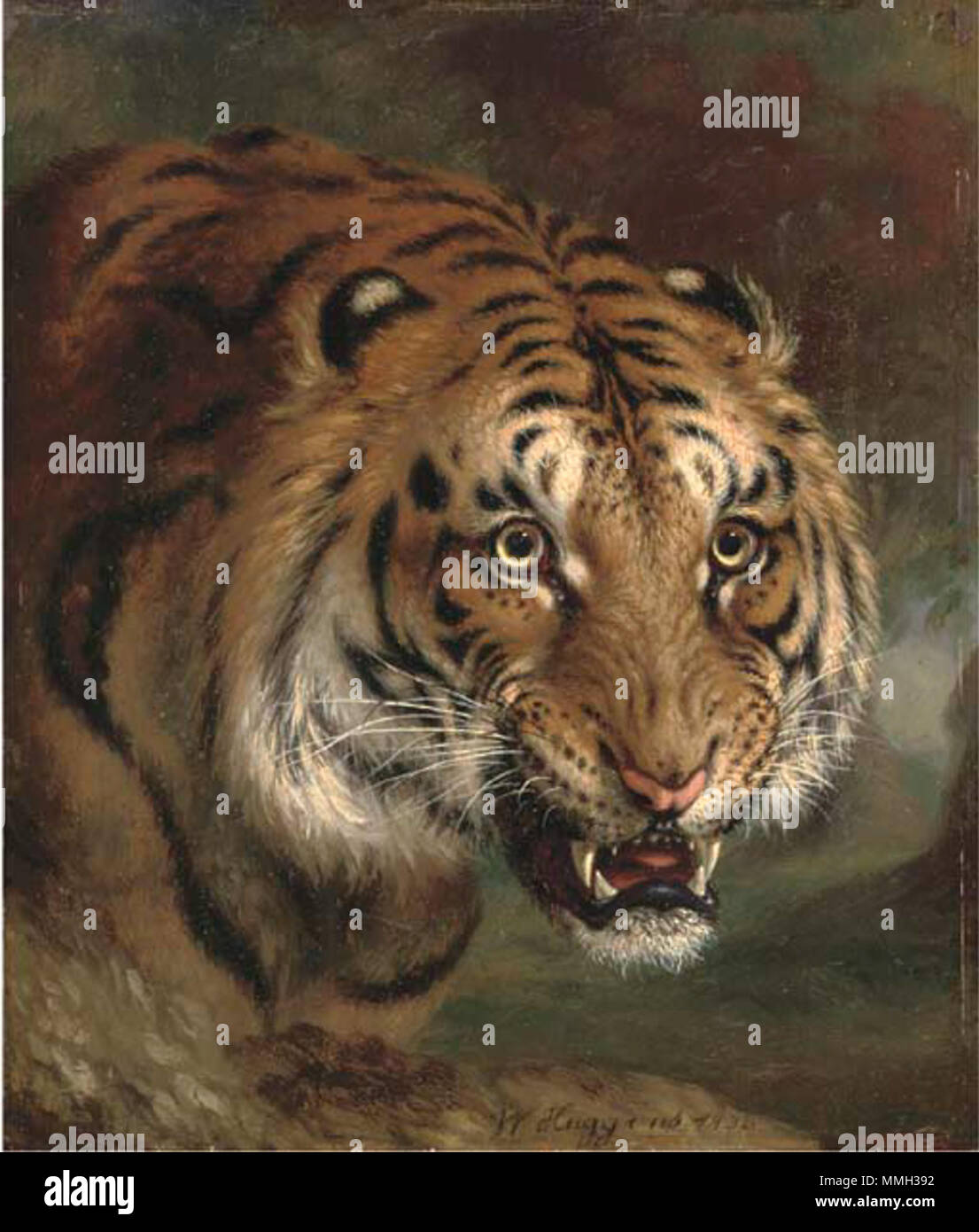 Una tigre del Bengala. 1838. Tigre del Bengala d4617011x Foto Stock