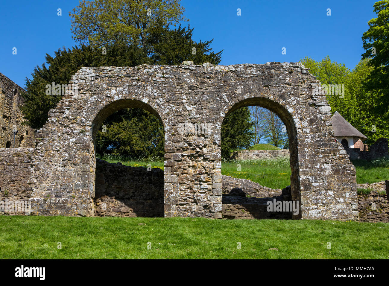 Parte dei resti della battaglia storica Abbazia nel comune di battaglia in East Sussex. L'Abbazia si trova sul campo di battaglia dove la battaglia di Hai Foto Stock