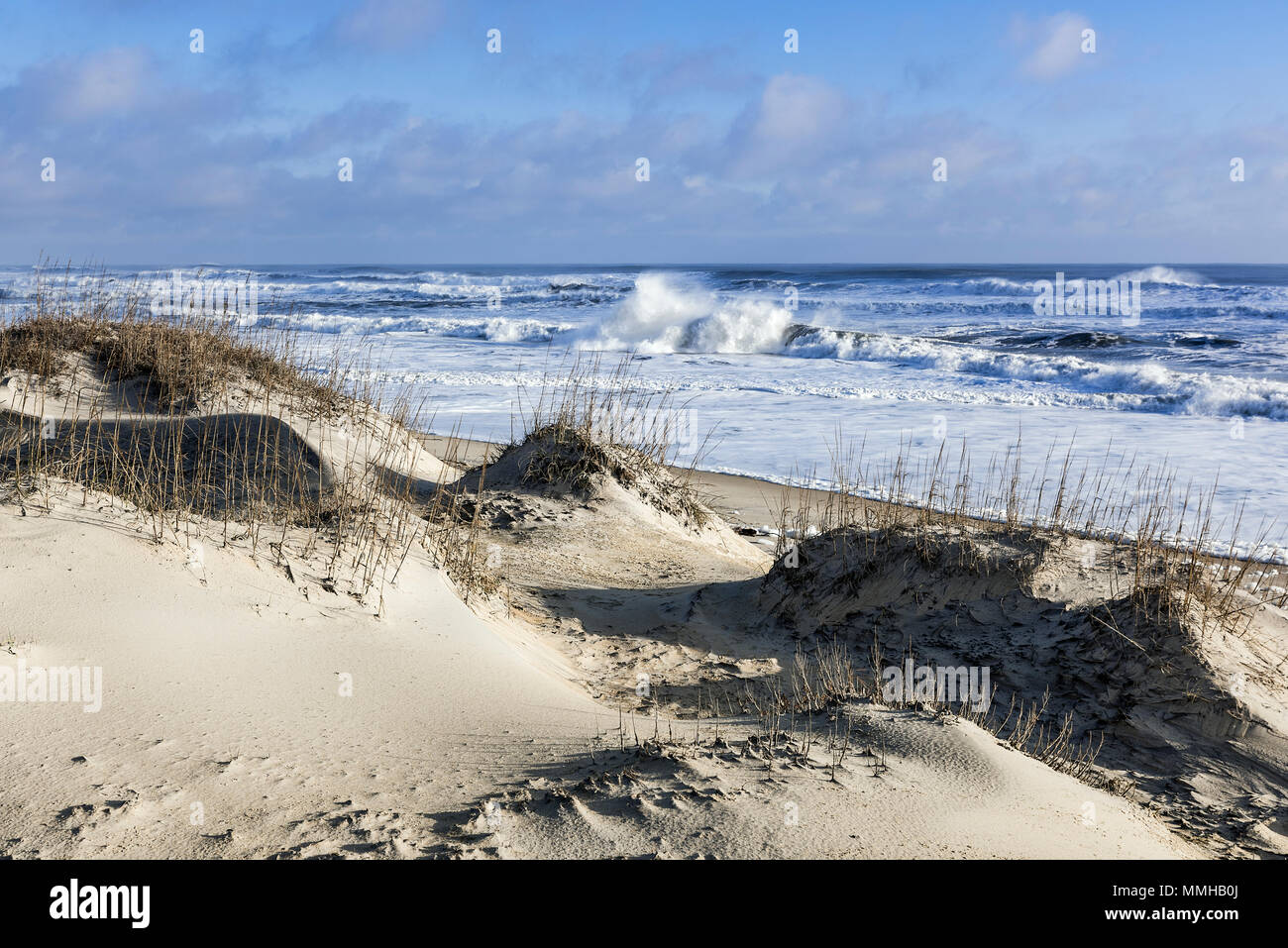 Dune e spiaggia, nag Testa, Outer Banks, North Carolina, Stati Uniti d'America. Foto Stock