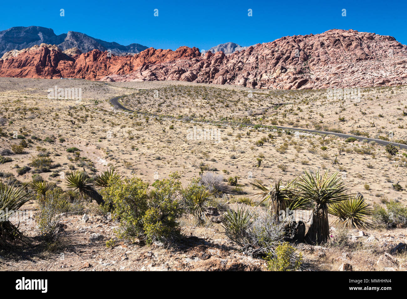Serpentina di curve della strada attraverso le colline al Red Rock Canyon National Conservation Area al di fuori di Las Vegas, Nevada Foto Stock