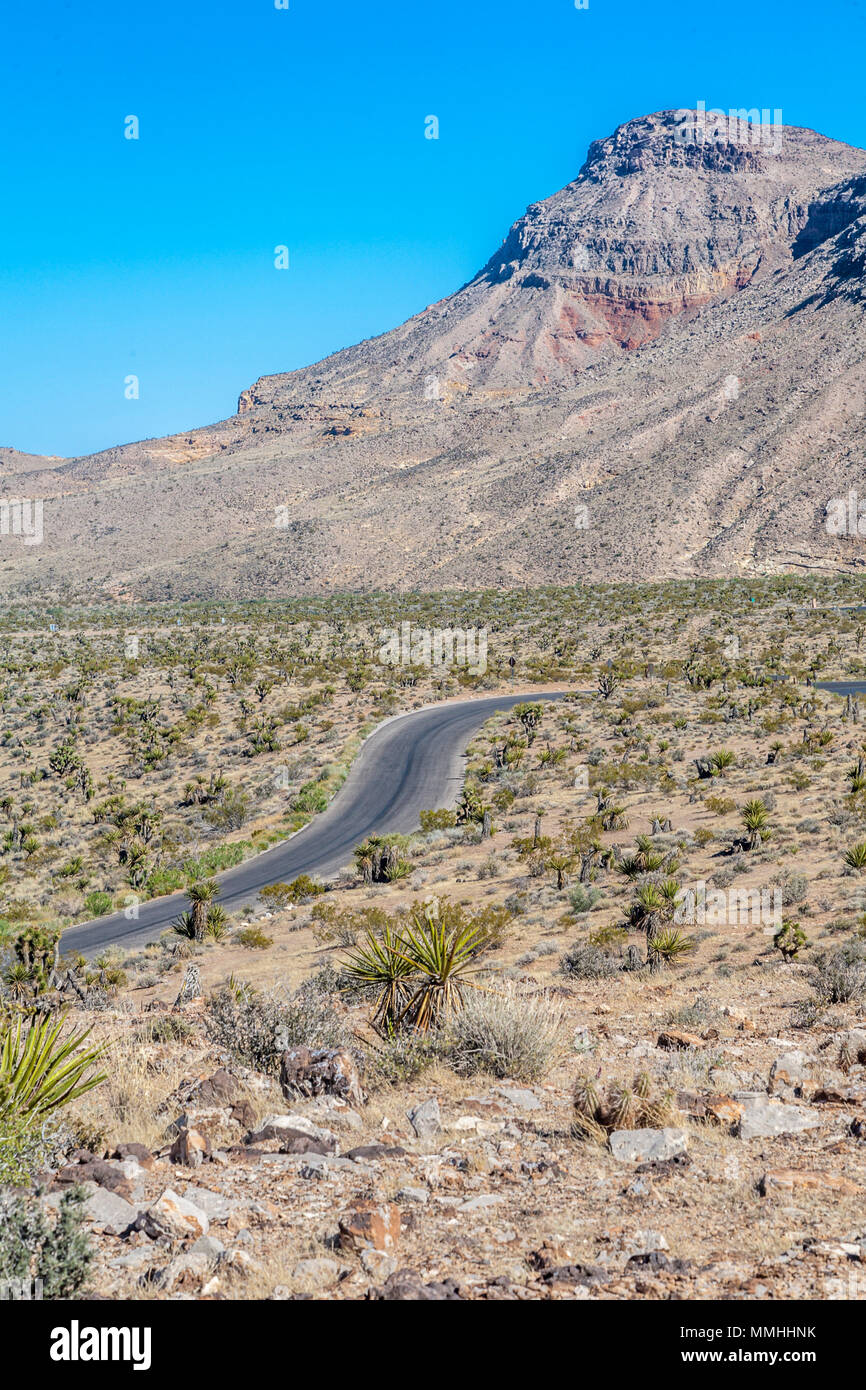 Serpentina di curve della strada attraverso le colline al Red Rock Canyon National Conservation Area al di fuori di Las Vegas, Nevada Foto Stock