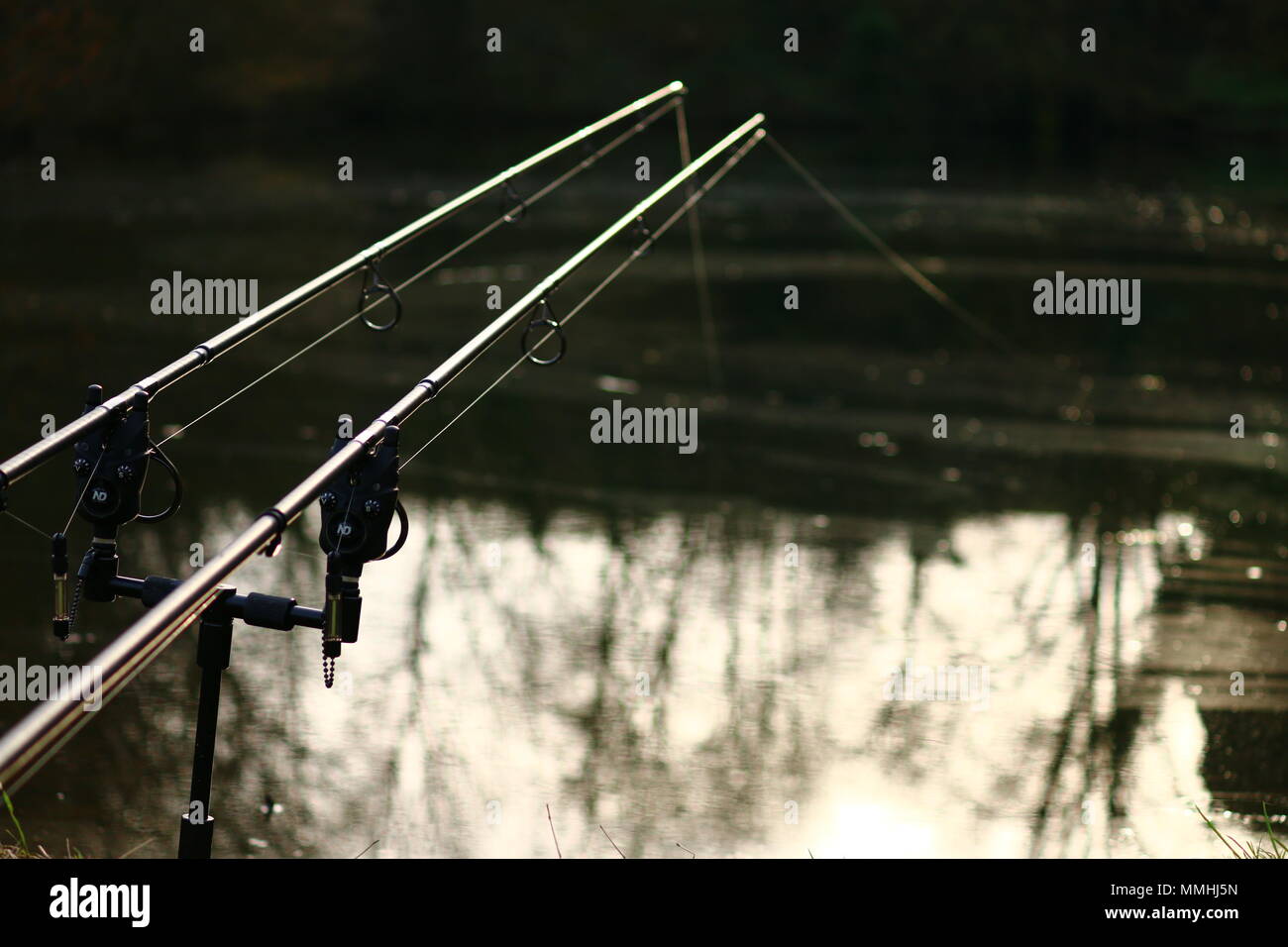 Set di due canne da pesca nel laghetto Foto Stock