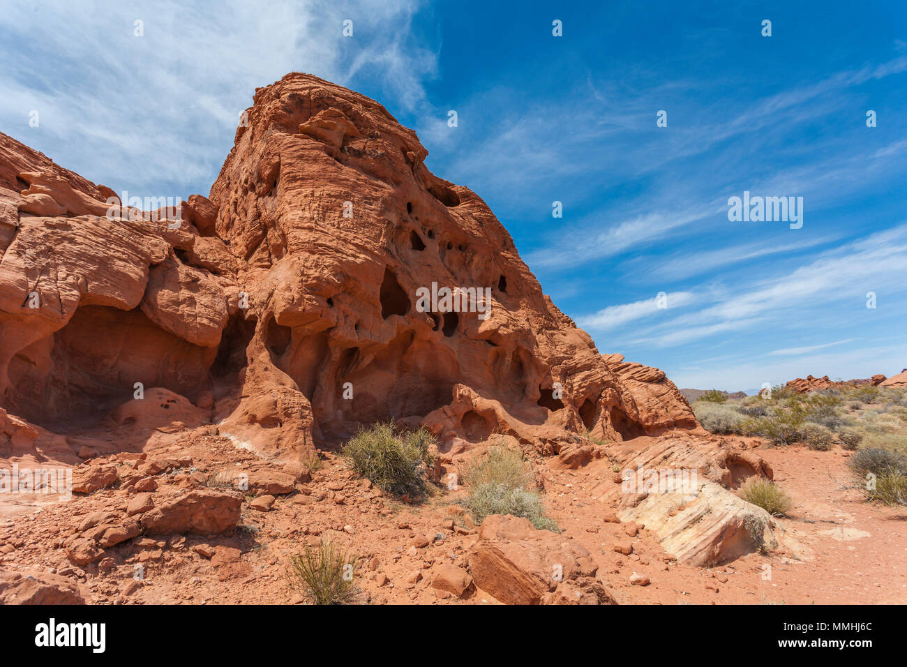 Il fogliame di deserto alla base del rosso di arenaria azteca formazioni rocciose in il Parco della Valle di Fire State in Overton, Nevada a nord-est di Las Vegas Foto Stock