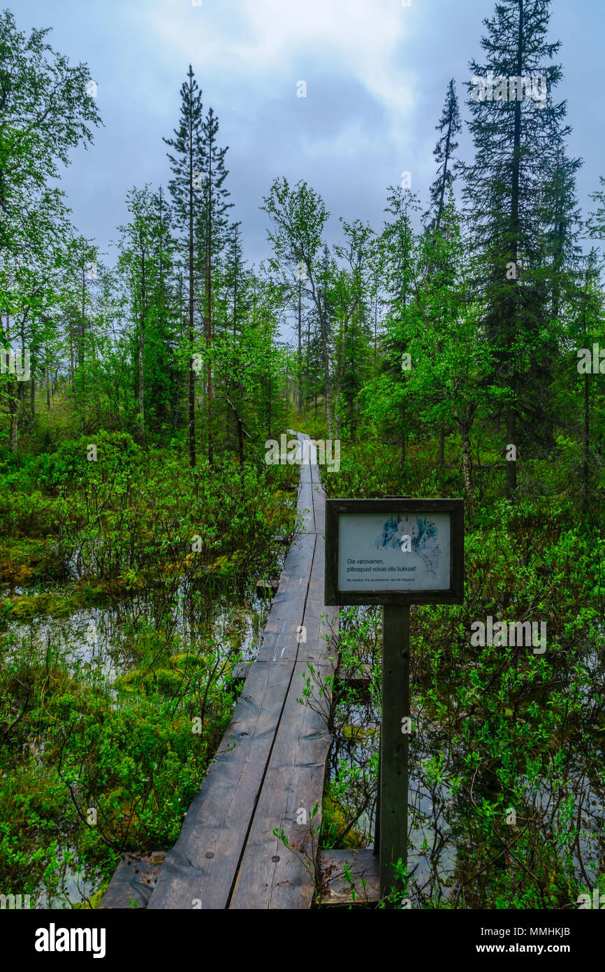 Il sentiero di duckboards sopra una zona paludosa, lungo il sentiero Tunturiaapa, in Pyha-Luosto National Park, Lapponia, Finlandia Foto Stock