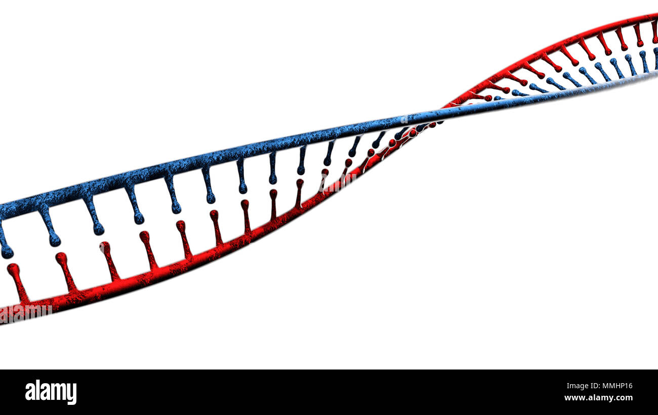 DNA, acido deossiribonucleico è un thread-come la catena di nucleotidi che trasportano le istruzioni genetiche di tutti noti organismi viventi. Elica di DNA Foto Stock