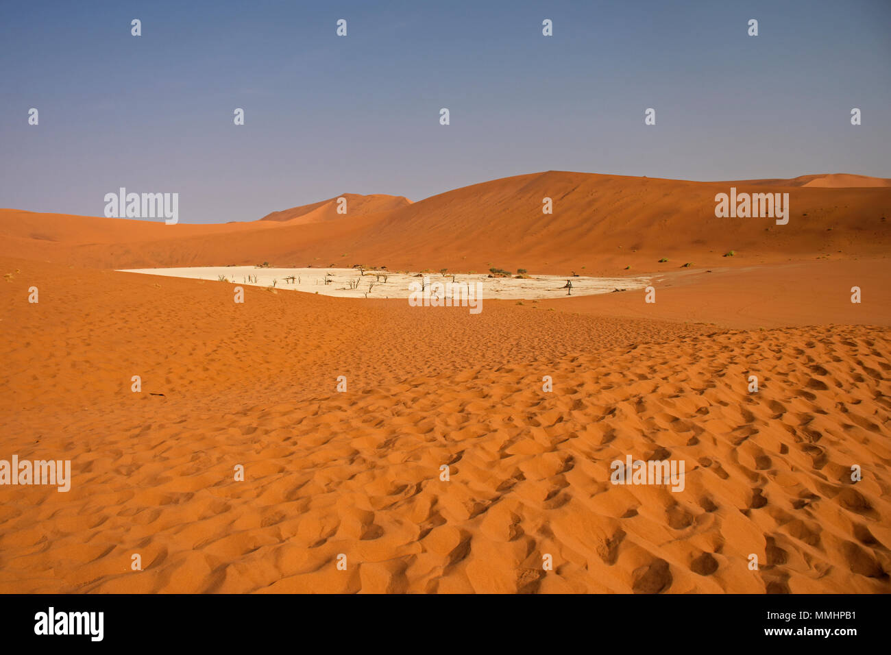 Vista panoramica di Deadvlei, una coppa di sale circondata da dune rosse del Namib Desert, Namib Naukluft National Park, area Sossusvlei, Sesriem, Namibia Foto Stock
