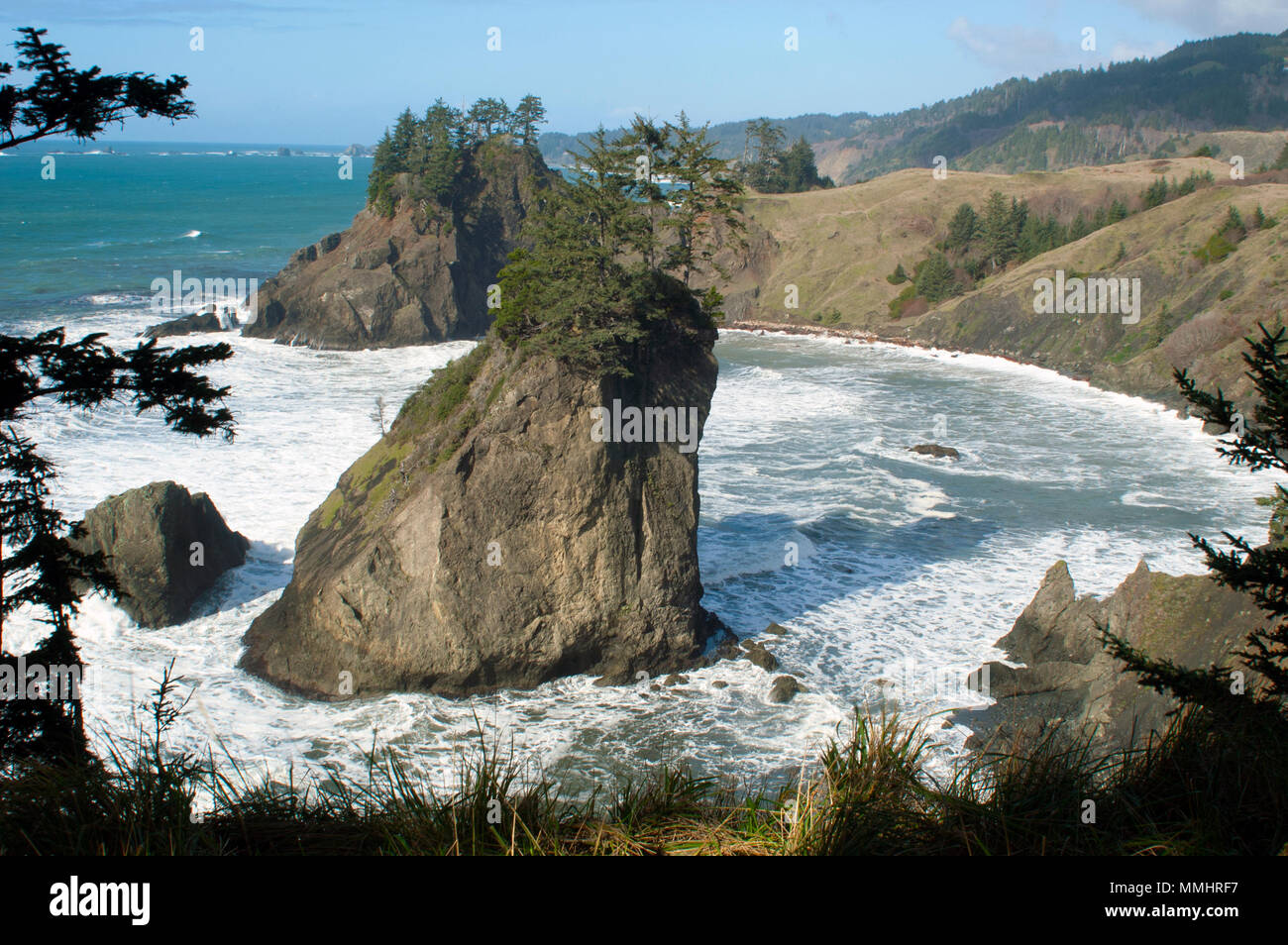 Costa al Samuel H. Boardman parco statale, Oregon, Stati Uniti d'America Foto Stock