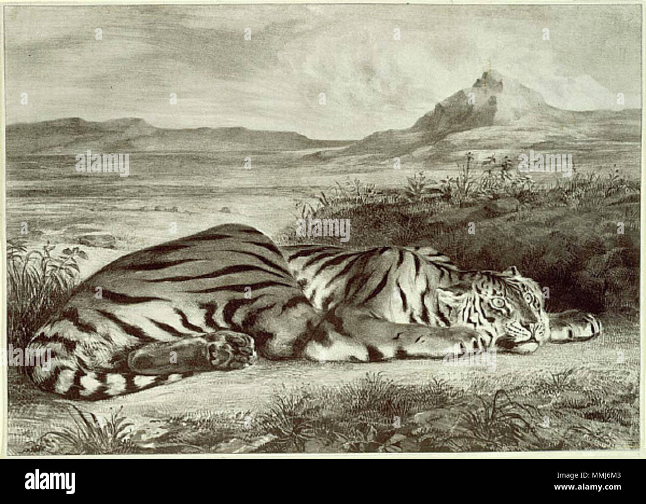 Eugène Delacroix - Royal Tiger Foto Stock