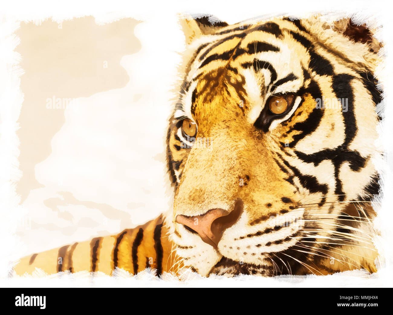 Acquerello volto di tiger, colori brillanti effetti filtro,grunge stile fotografico. Foto Stock