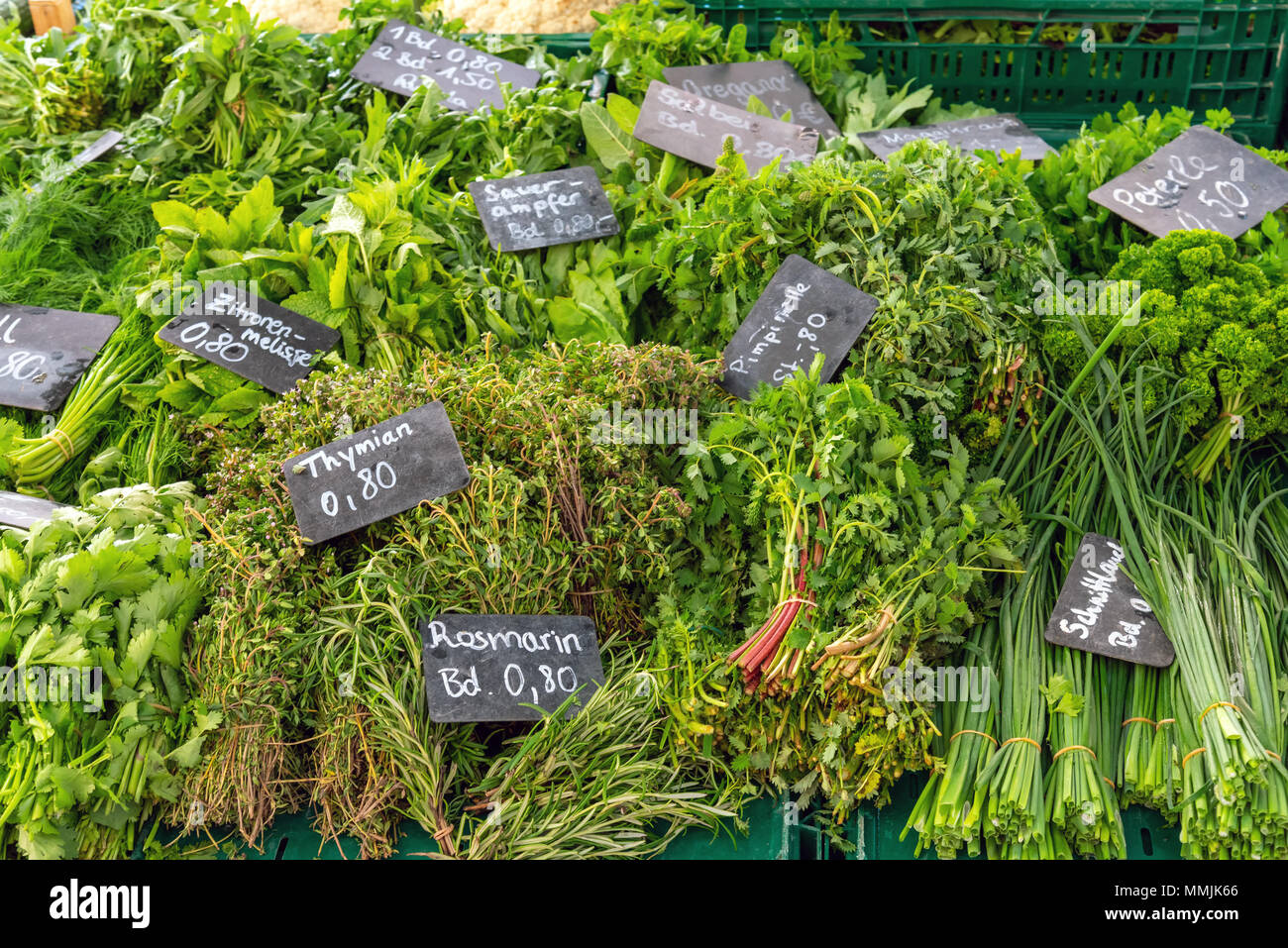 Diversi tipi di erbe aromatiche fresche per la vendita su un mercato Foto Stock