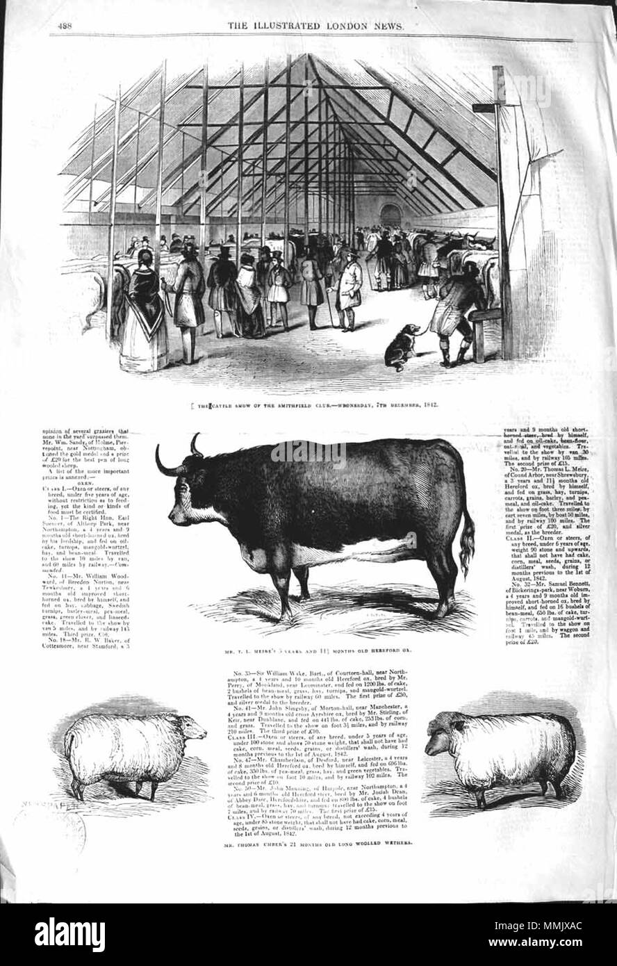 . Il Illustrated London News, 1842, p. 488 . Il 10 dicembre 1842. ILN sconosciuto 1842, p. 488 Foto Stock