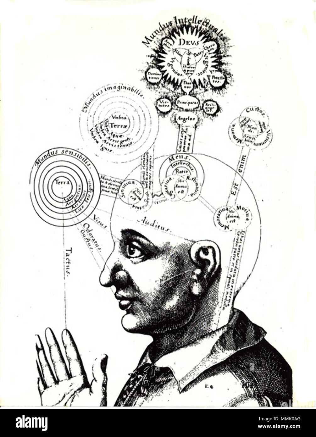 El cerebro según Fludd Foto Stock