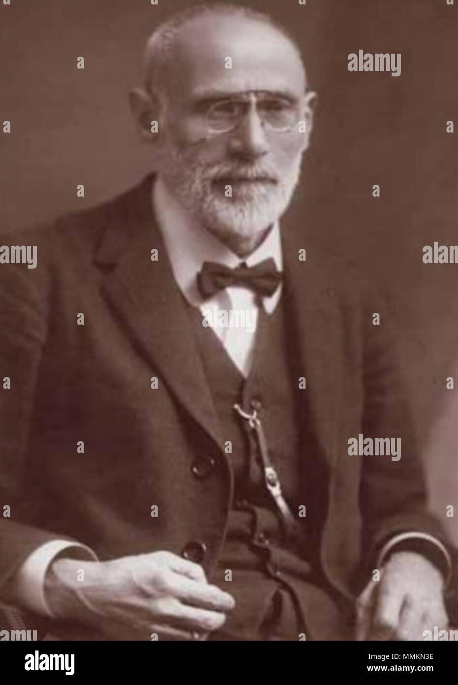 Fröhlich Izidor fizikus Foto Stock