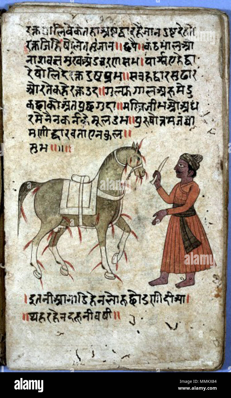 L0014697 salasso sul cavallo, Hindi, XVIII C . Il XVIII secolo. Unknown 87 salasso su un cavallo Foto Stock