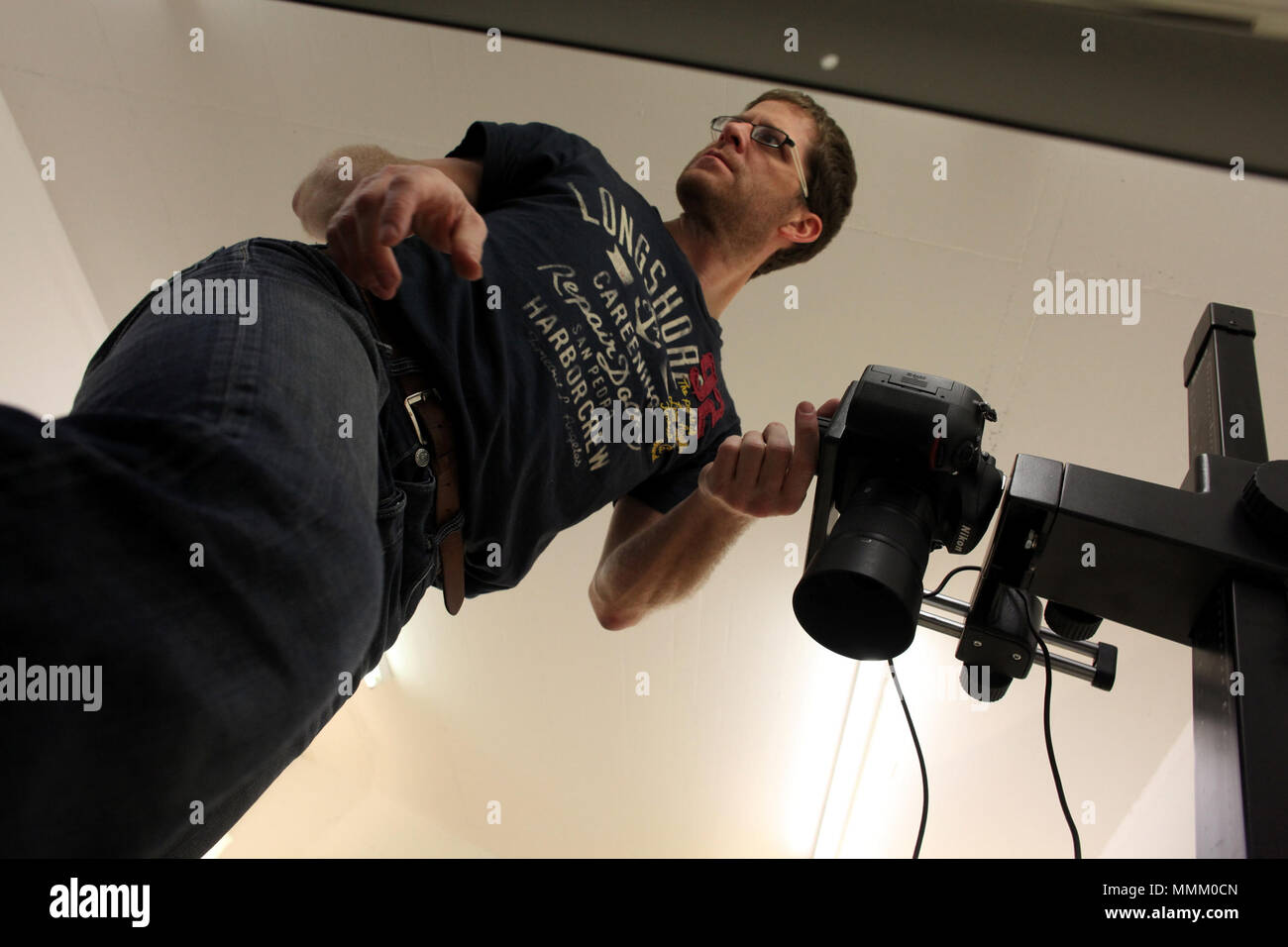 . Neuchâtel progetto erbario di rendere . 14 novembre 2012, 17:19:03. Rama erbario rendendo di-IMG 6756 Foto Stock