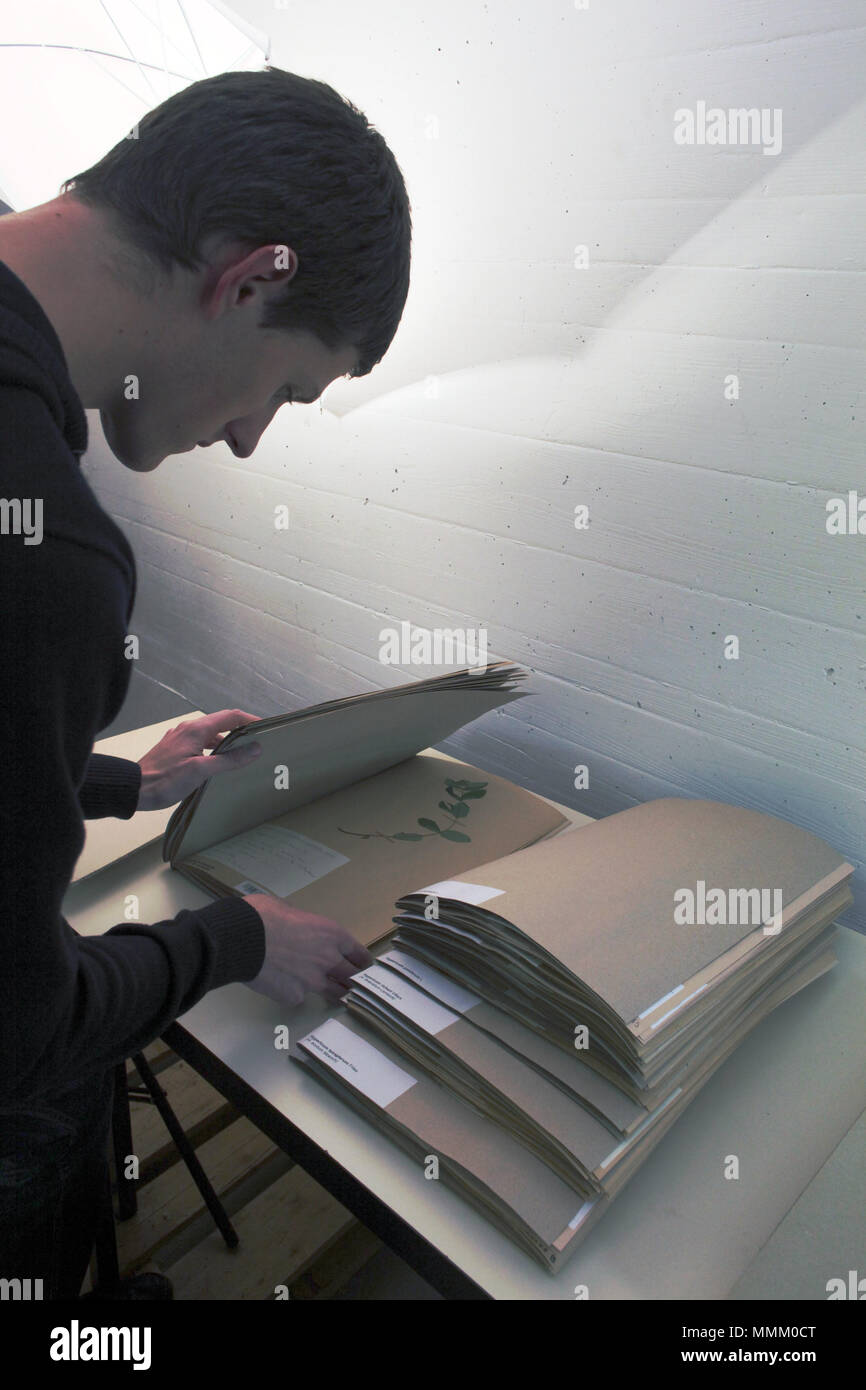 . Neuchâtel progetto erbario di rendere . 14 novembre 2012, 17:48:32. Rama erbario rendendo di-IMG 6759 Foto Stock