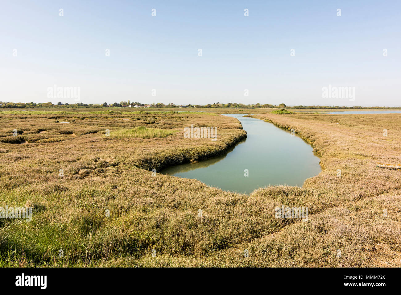 Il lato ovest del porto Pagham Riserva Naturale, West Sussex, Regno Unito. Foto Stock Il lato ovest del porto Pagham Riserva Naturale, West Sussex, Regno Unito. Foto Stock